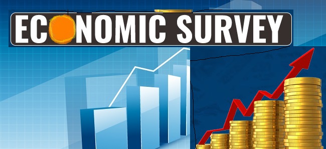 325 kms roads blacktopped, 80 road bridges constructed in eight months of current FY: Economic Survey