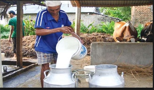 Government Hikes Milk Price