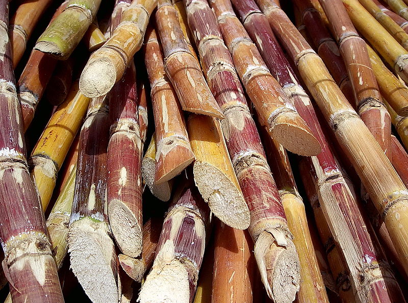 Sugarcane farmers paid nearly Rs 2 billion for their crops