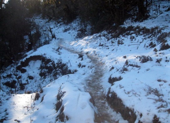 हिमपातका कारण मध्यपहाडी लोकमार्ग पूर्ण रुपमा अवरुद्ध