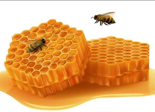 Nepal's honey output hits 6,000 metric tonnes annually