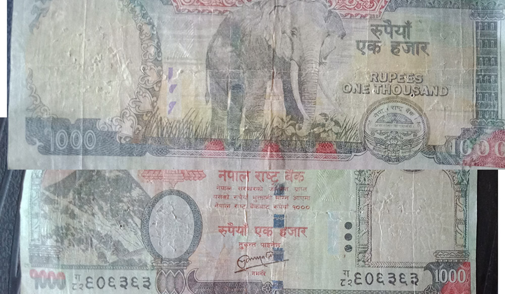 Fake Nepali currencies of 1000 and 500 denomination found in Waling