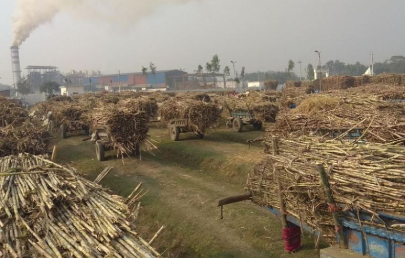 भारतद्वारा चिनी निर्यातमा प्रतिबन्ध: सन् २०२६ सेप्टेम्बर ३० सम्म लागू हुने, यस्तो छ कारण
