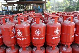 Govt promoting 'Let Us Abandon Foreign LPG, Use Domestic Electricity' campaign