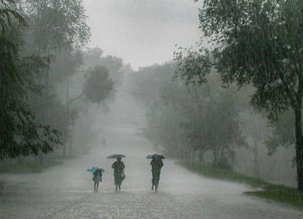 Rain, snowfall bring relief to Bajura farmers