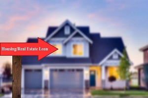 Which Bank has Highest Investment in Real Estate Sector?