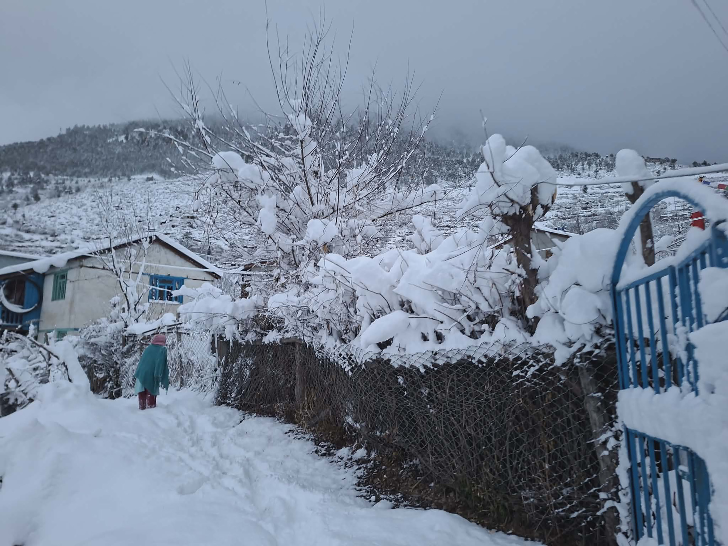 Heavy snowfall in Mustang, Humla and Bajura districts