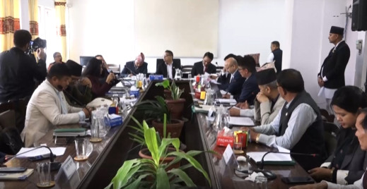 दुई तिहाइको सरकार तर निजी क्षेत्रको मनोबल कमजोर, सांसदहरूले भने– राष्ट्र बैंकले 'ओभर रेगुलेसन' गर्‍यो
