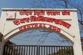 बर्ड फ्लू सङ्क्रमणका कारण सदर चिडियाखाना अनिश्चितकालका लागि बन्द