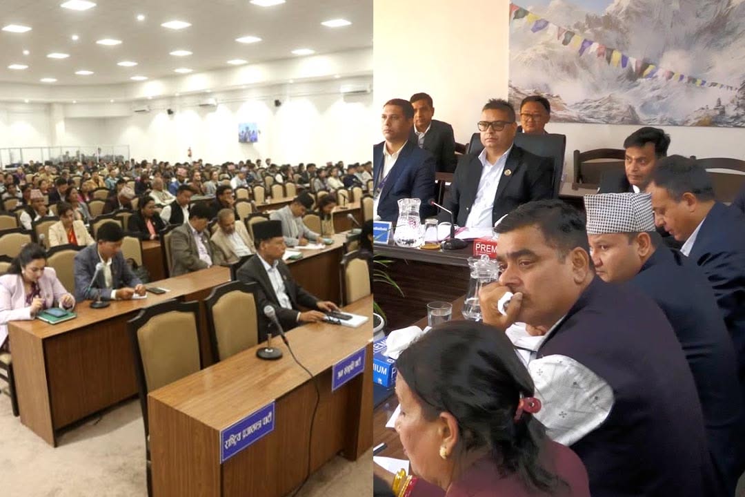 शेयर बजारको ओरालो यात्रा: संसददेखि समितिसम्म नीतिगत 'कन्फ्युजन' माथि बहस, धितोपत्र बोर्डलाई १० दिने अल्टिमेटम
