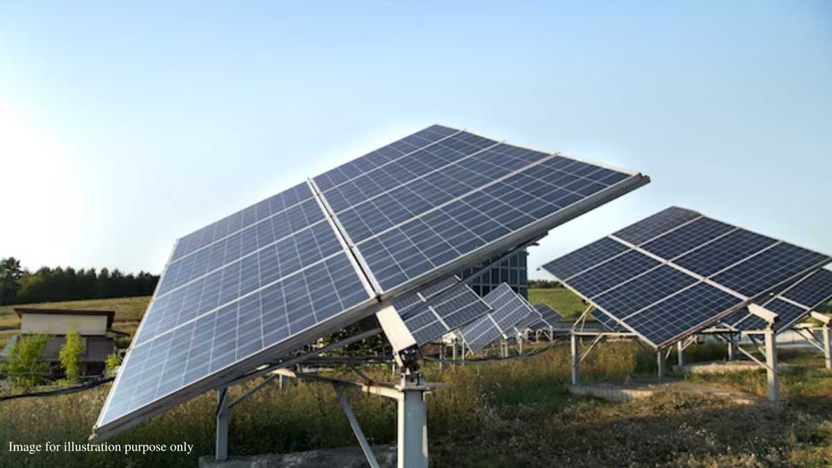 Which Listed Solar Company Performed Better in last FY?