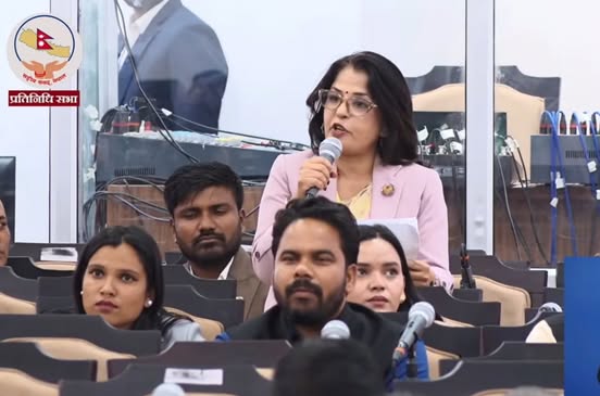 'अर्थतन्त्रको कुलदेवता स्वदेशी व्यवसायी हुन्, उनीहरु ढुक्क नभएसम्म न पुँजी बजार चल्छ, न त विदेशी लगानी नै आउँछ’